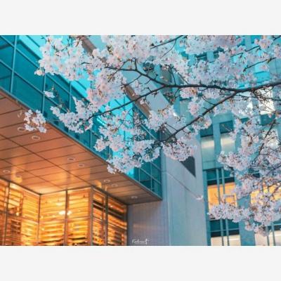 im电竞下载手机版