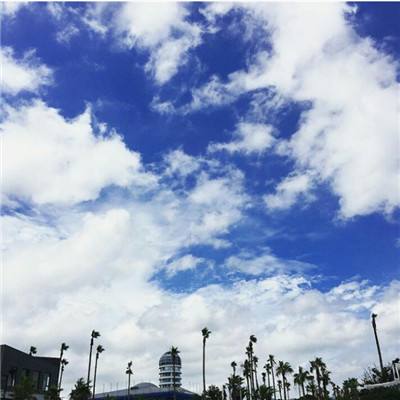 b体育官网入口在线